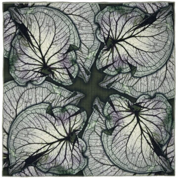 Bioflilia Verde